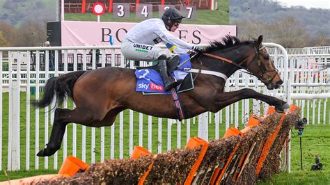 cheltenham races tips
